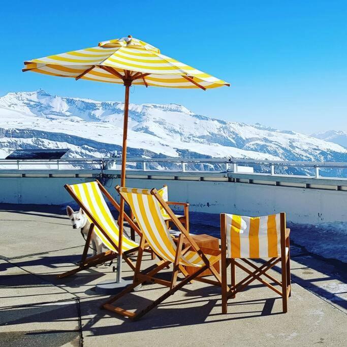 2.5 Room Apartment In Center Of Flims. Ski In/Out ภายนอก รูปภาพ